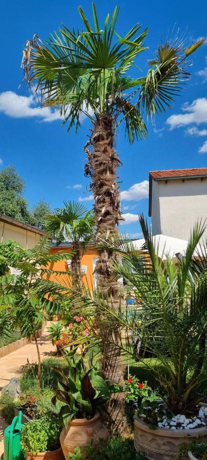 Grahl'S Ferienwohnung Markranstädt Zewnętrze zdjęcie